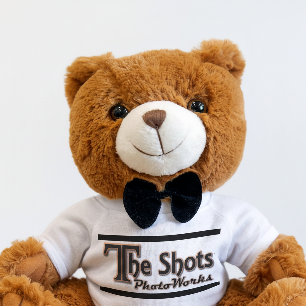 Close-up of Snapshot the Bear